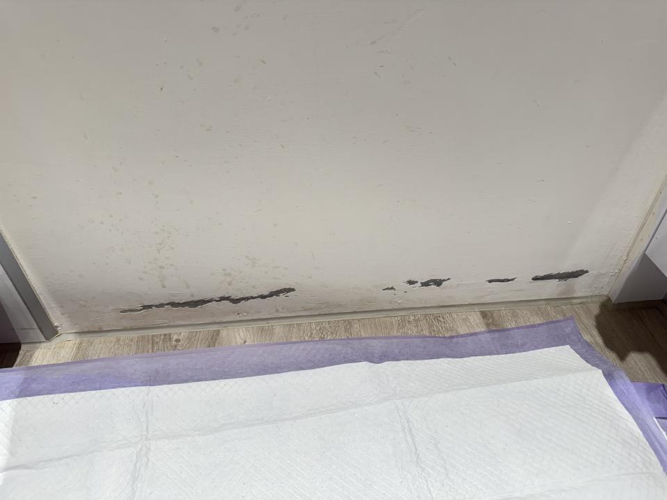 油漆工程案件圖片