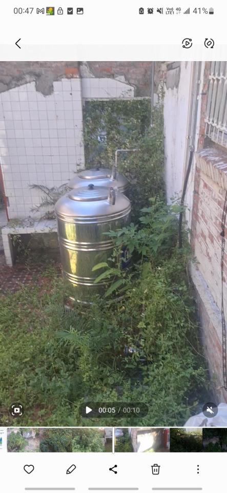 園藝維護案件圖片 園藝維護案件圖片