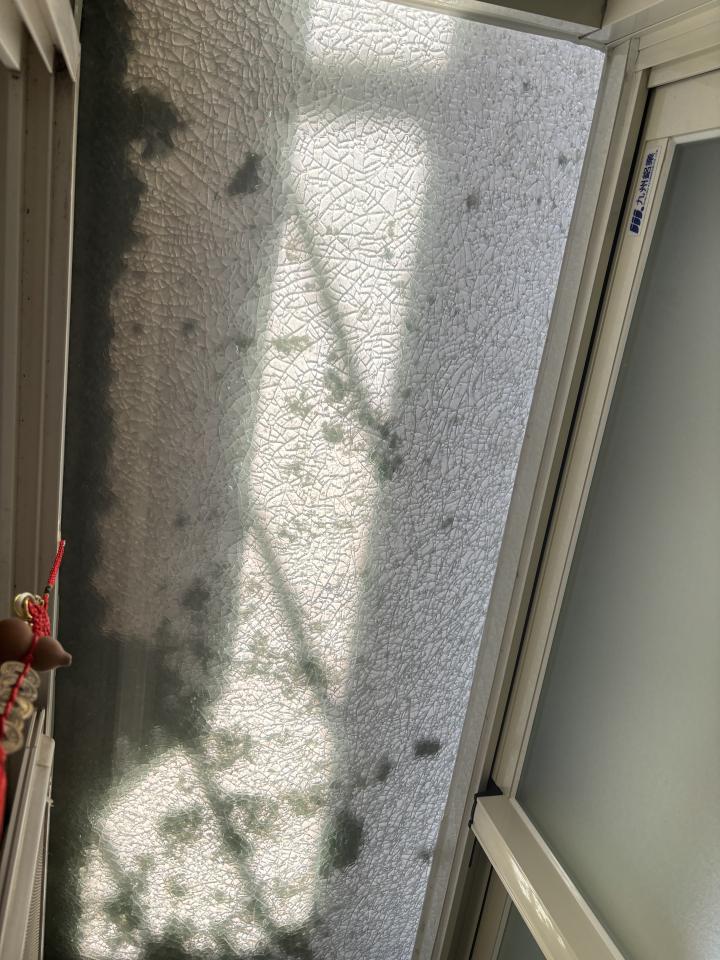 遮雨棚安裝案件圖片