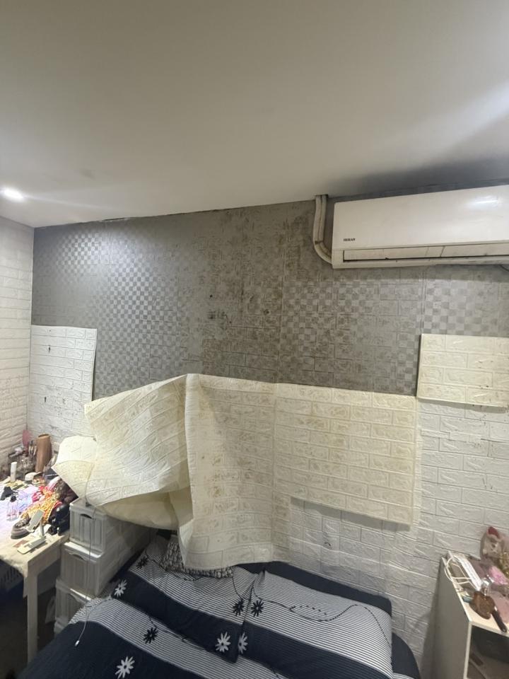 壁紙施工案件圖片