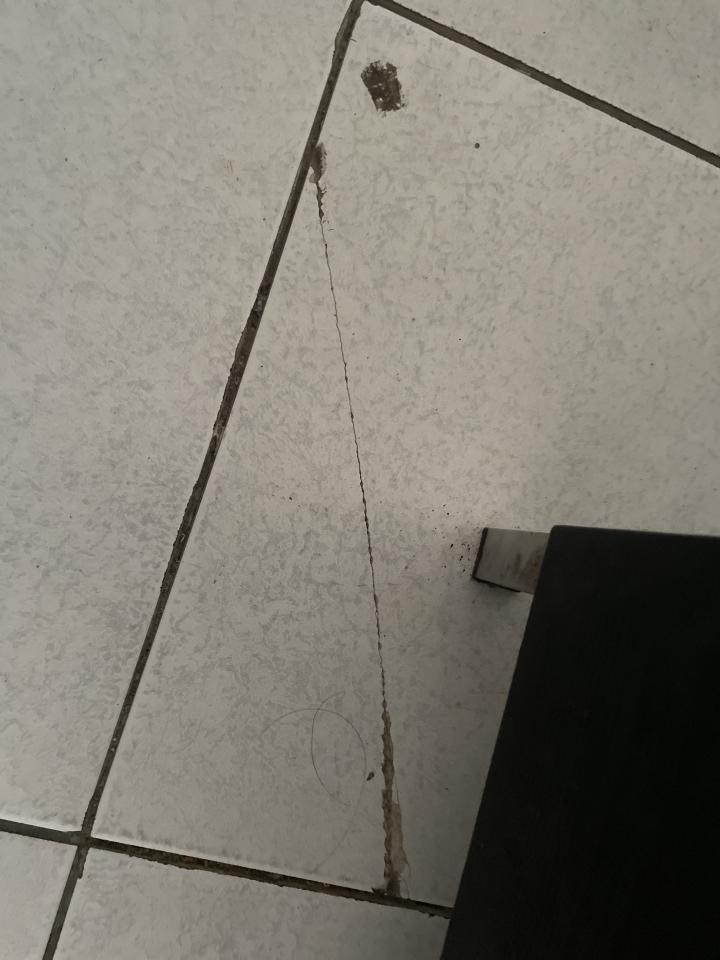 磁磚修補案件圖片