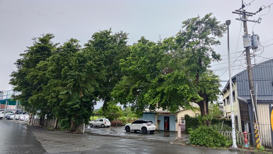園藝維護案件圖片 園藝維護案件圖片