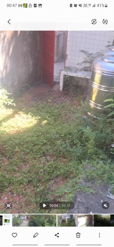 園藝維護案件圖片 園藝維護案件圖片