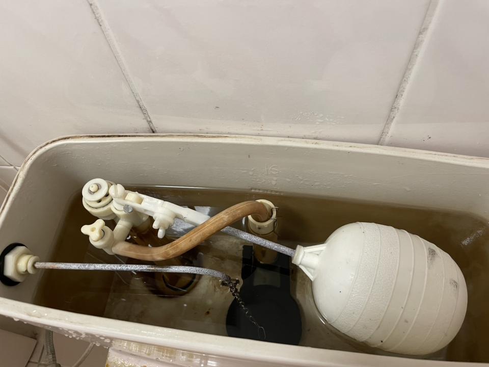馬桶裝修案件圖片