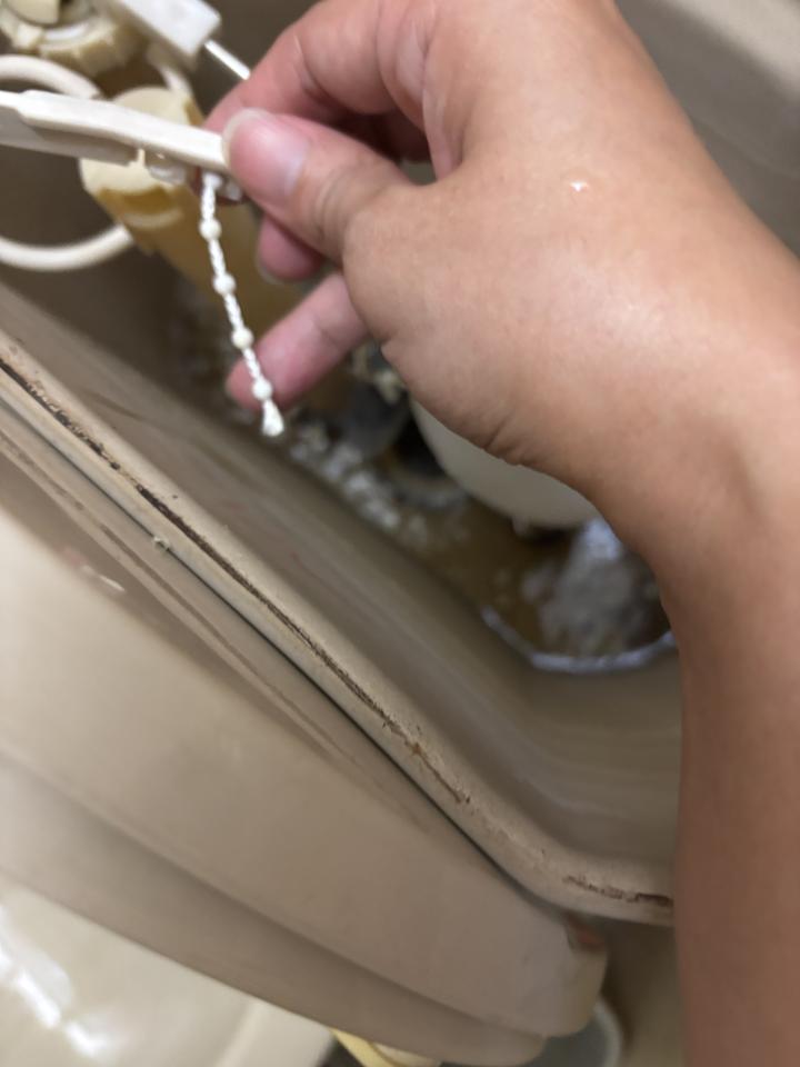 馬桶裝修案件圖片 馬桶裝修案件圖片