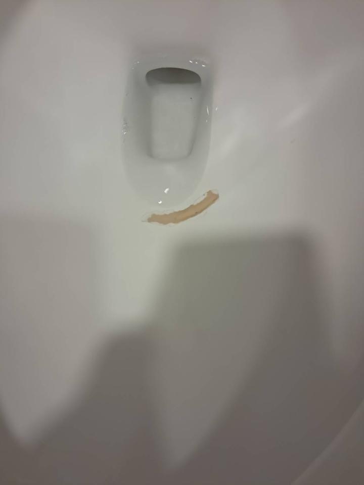 馬桶裝修案件圖片