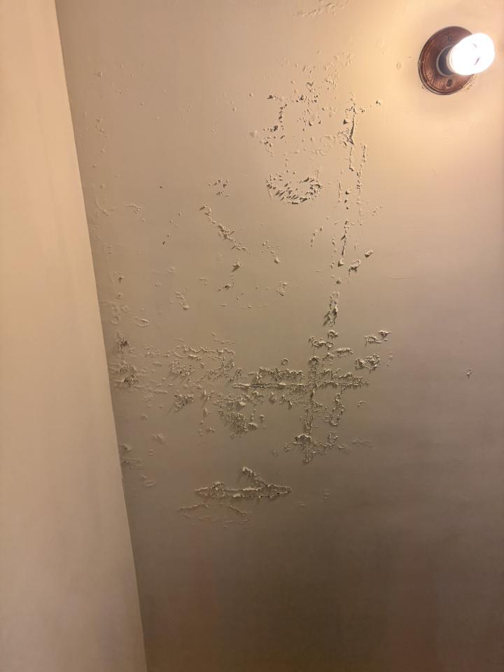 批土案件圖片