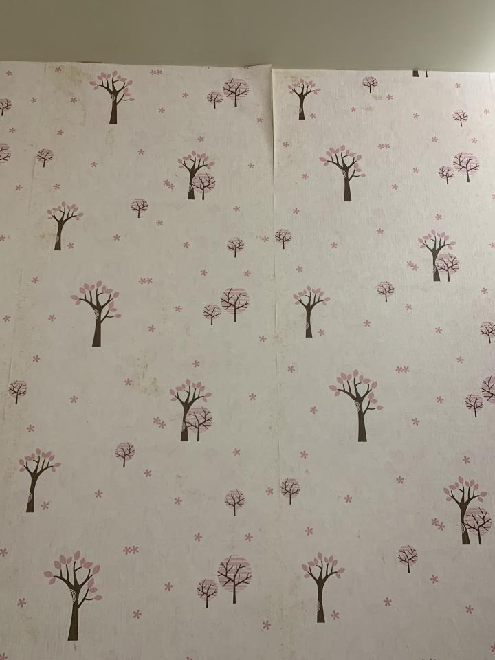 壁紙施工案件圖片