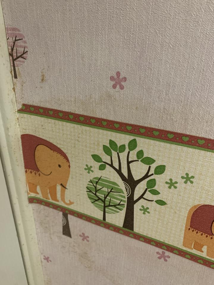 壁紙施工案件圖片
