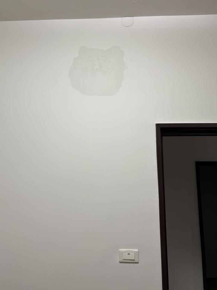 抓漏案件圖片