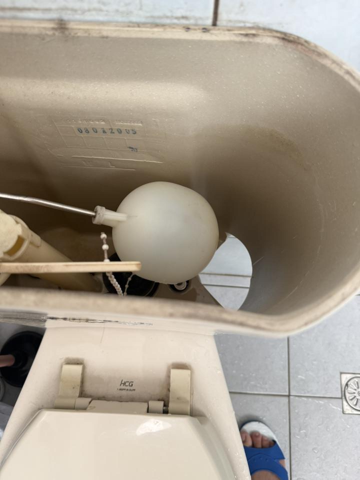 馬桶裝修案件圖片