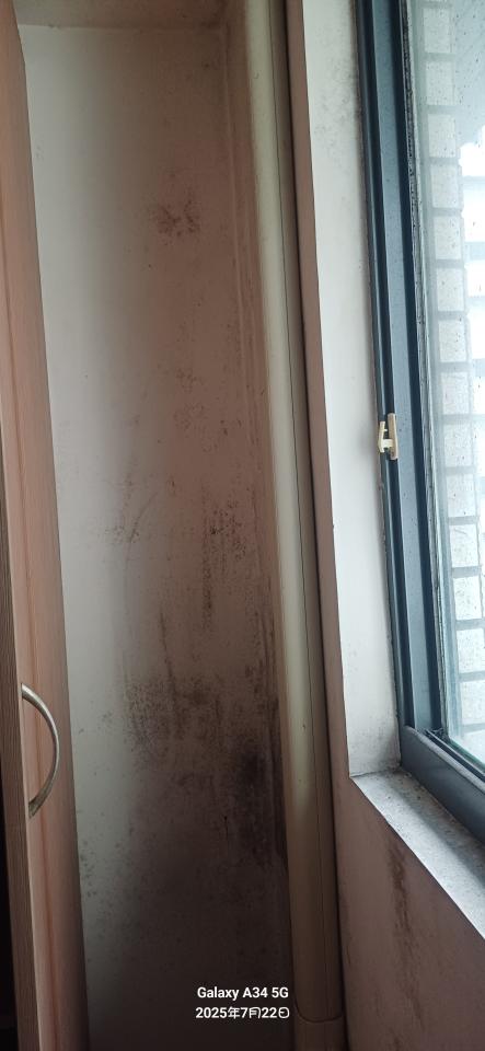 除霉案件圖片 除霉案件圖片