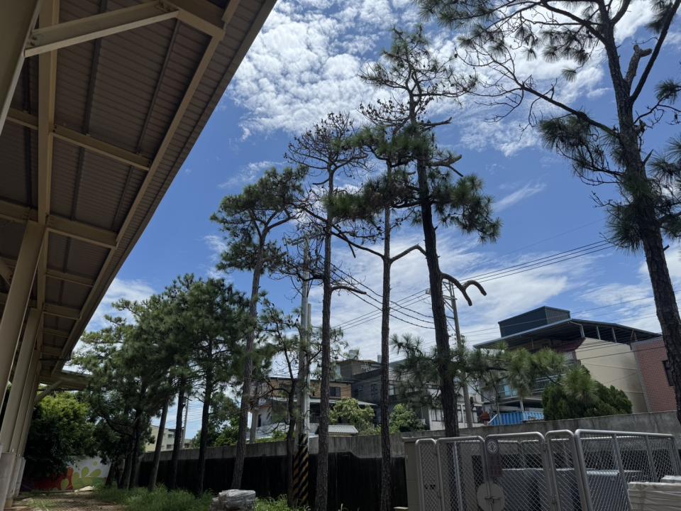 園藝維護案件圖片 園藝維護案件圖片