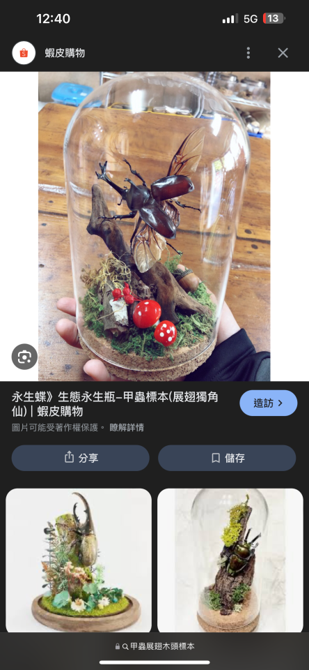 標本製作案件圖片