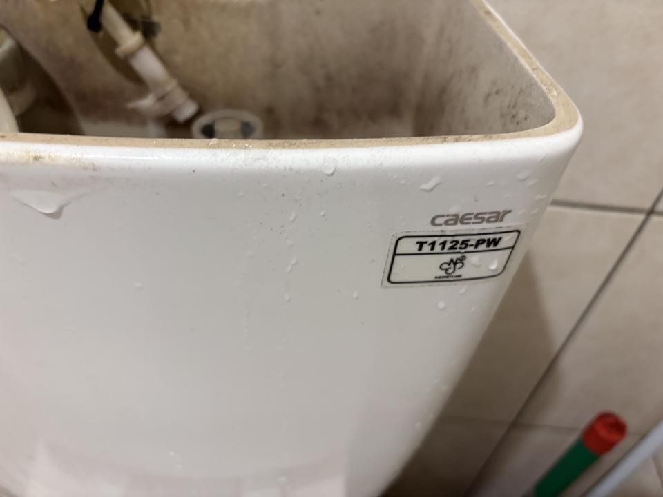 馬桶裝修案件圖片