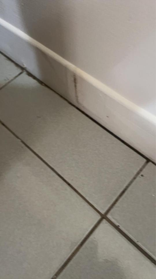 抓漏案件圖片