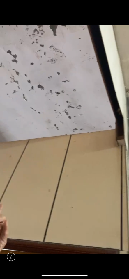抓漏案件圖片