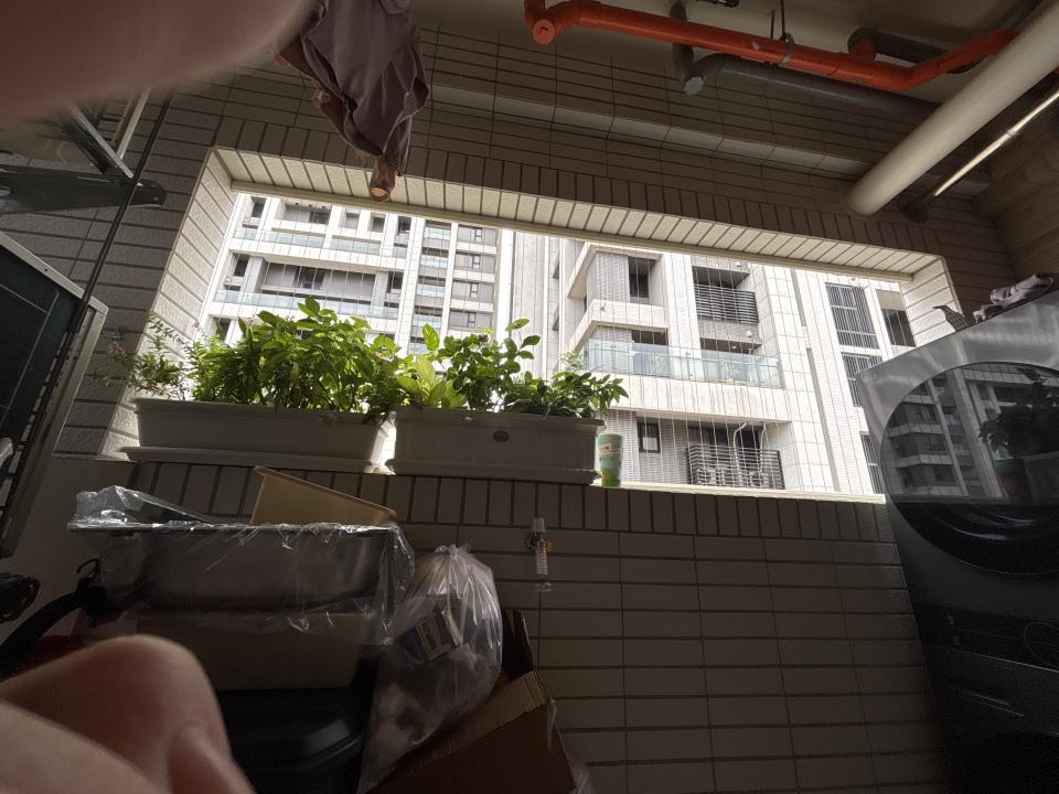 園藝設計案件圖片