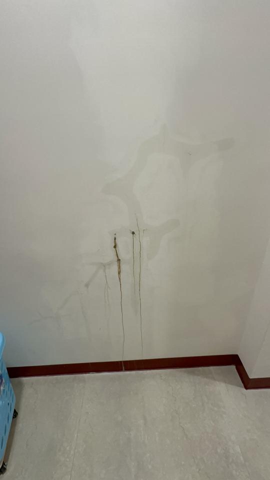 屋頂防水案件圖片
