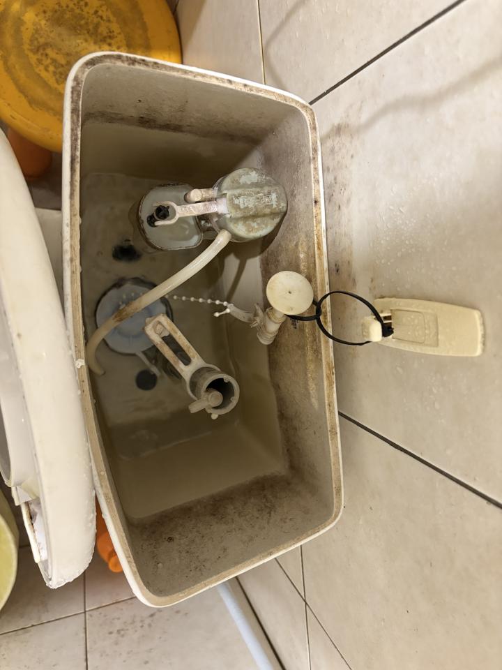 馬桶裝修案件圖片