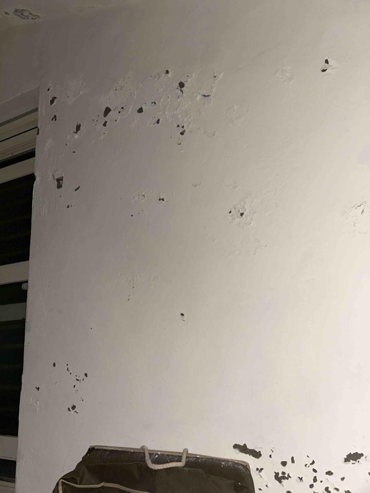油漆工程案件圖片