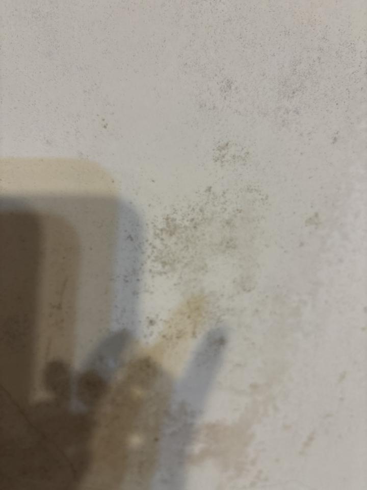 油漆工程案件圖片