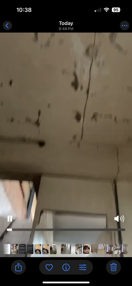 抓漏案件圖片