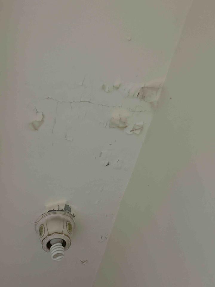 油漆工程案件圖片