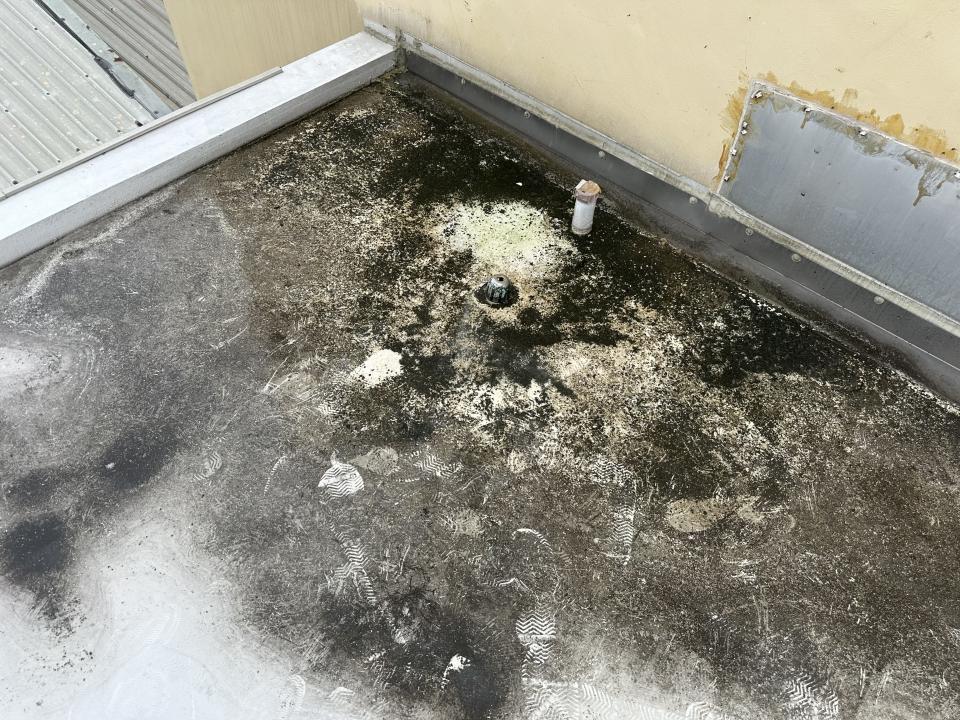 屋頂防水案件圖片