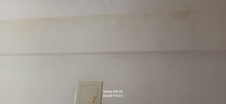 除霉案件圖片 除霉案件圖片