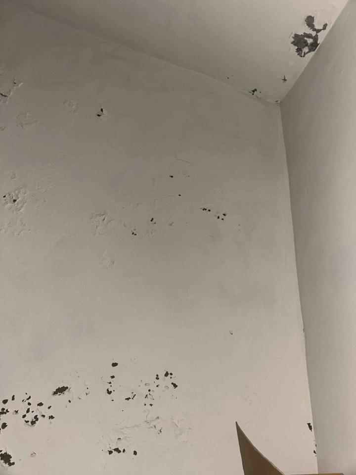 油漆工程案件圖片