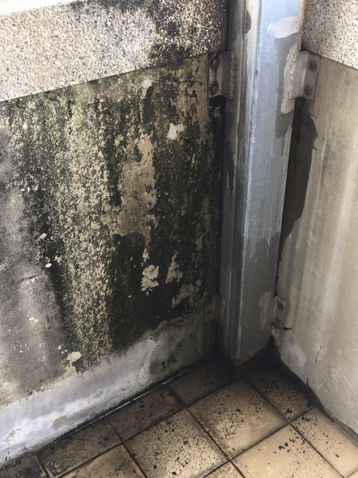 鐵皮屋頂案件圖片