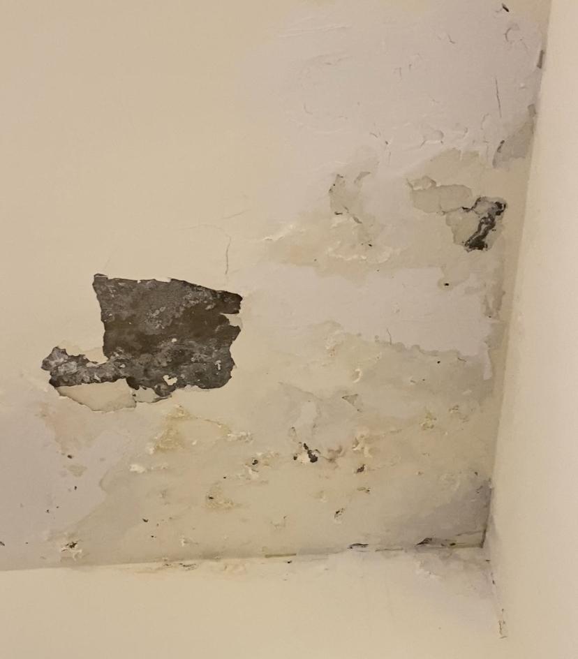 壁癌處理案件圖片 壁癌處理案件圖片