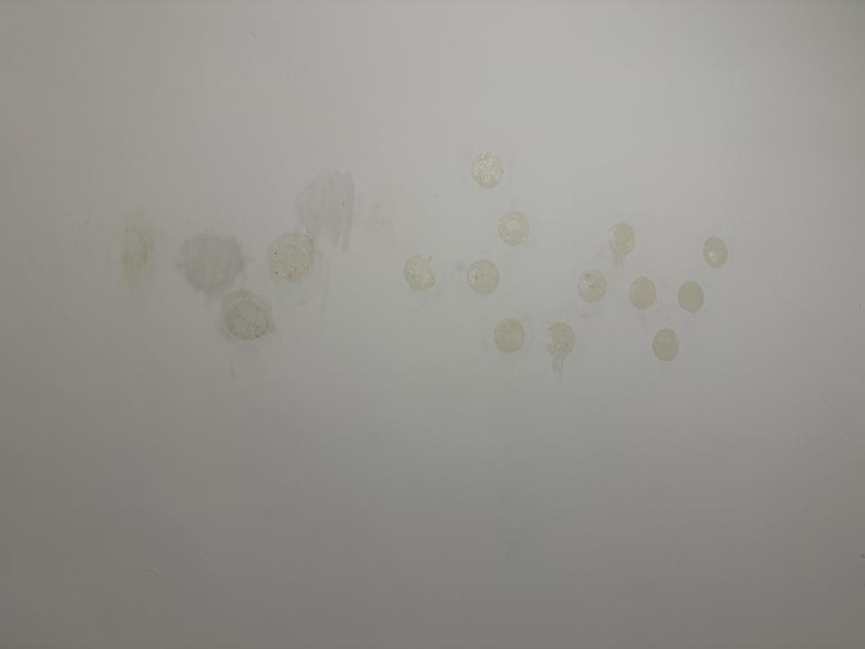 油漆工程案件圖片 油漆工程案件圖片