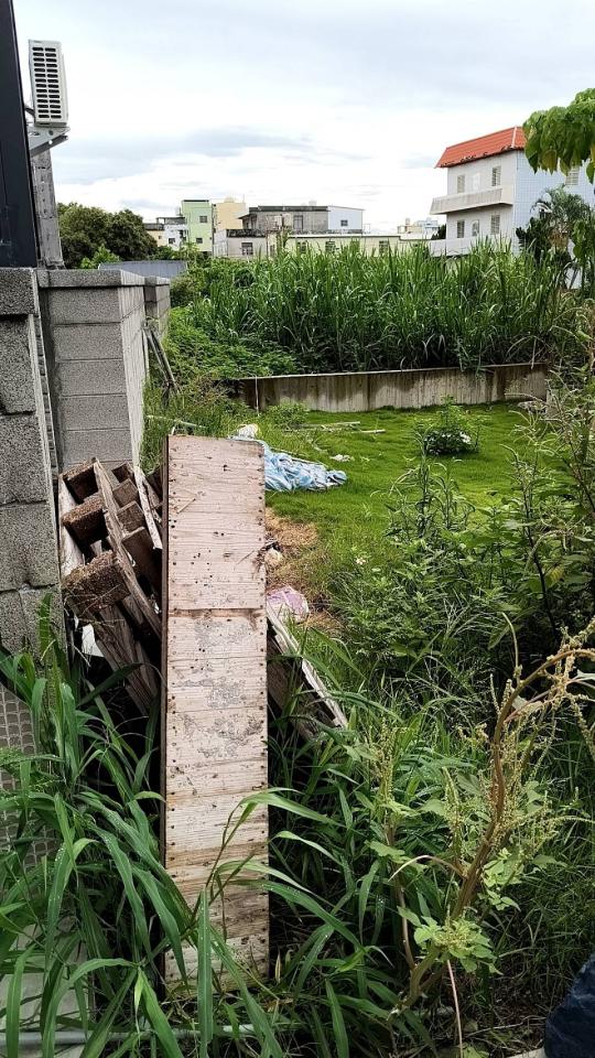 園藝維護案件圖片 園藝維護案件圖片
