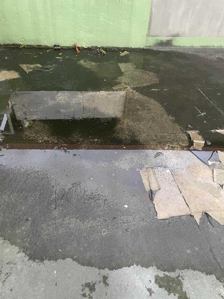 油漆工程案件圖片 油漆工程案件圖片