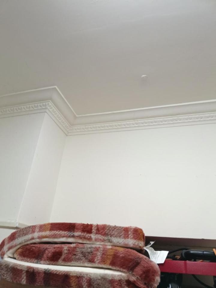 搬家案件圖片