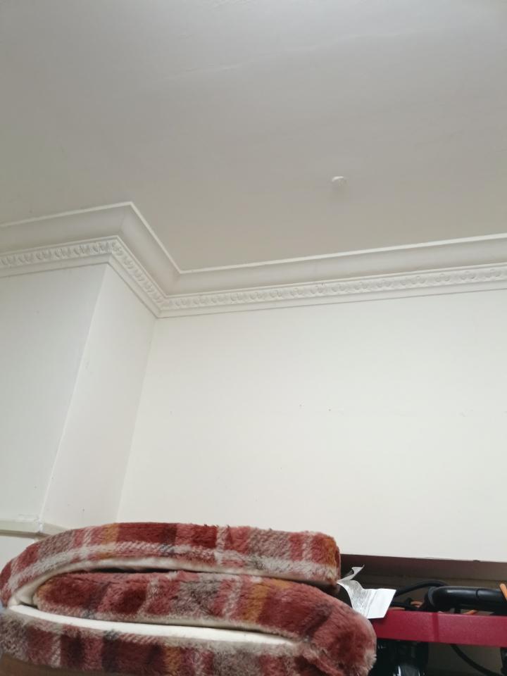 搬家案件圖片 搬家案件圖片
