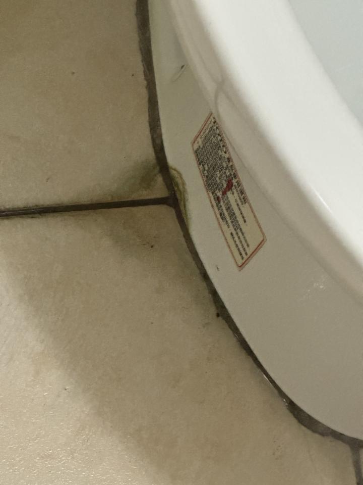 馬桶裝修案件圖片