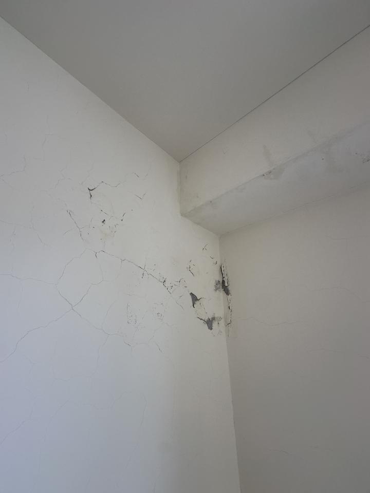 壁癌處理案件圖片