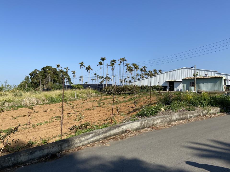 園藝維護案件圖片