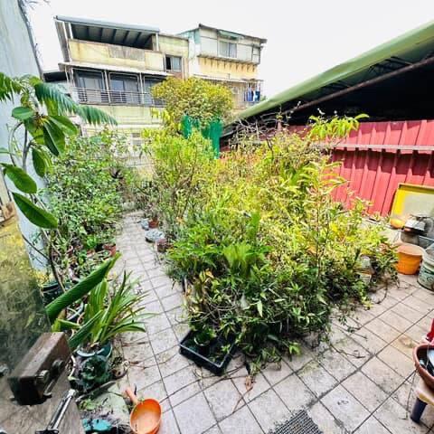 園藝維護案件圖片 園藝維護案件圖片