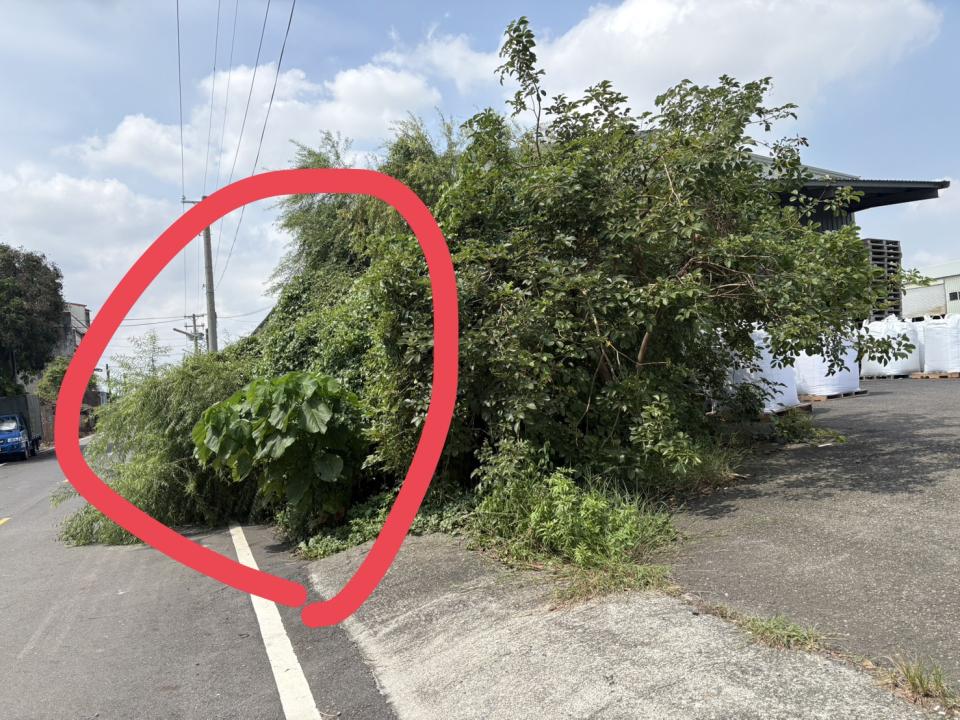 園藝維護案件圖片 園藝維護案件圖片