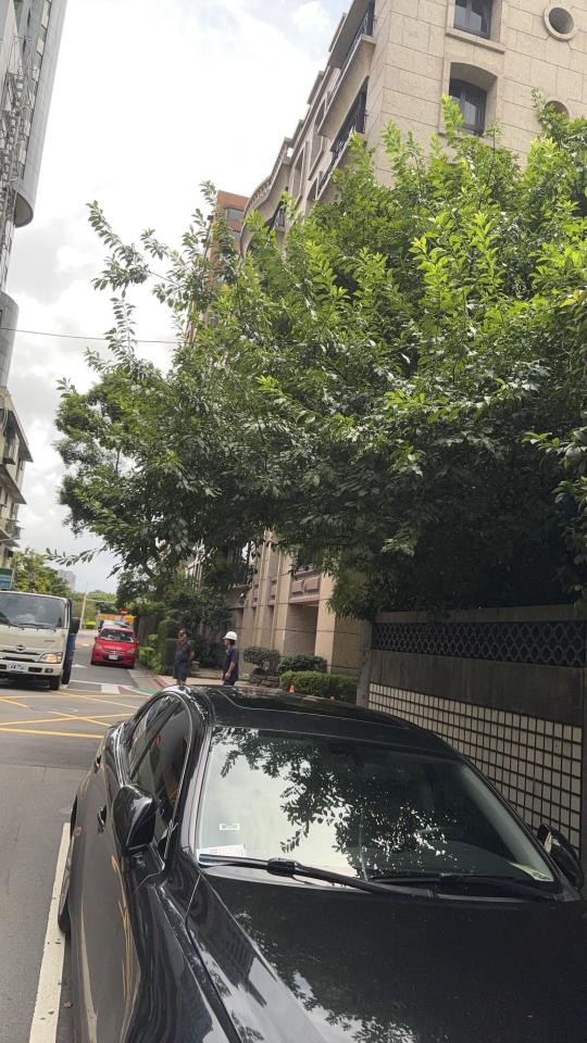園藝維護案件圖片