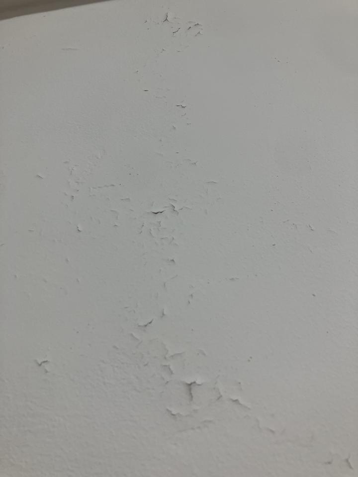油漆工程案件圖片