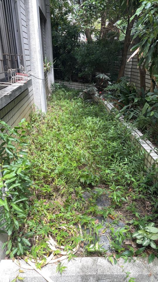 園藝維護案件圖片