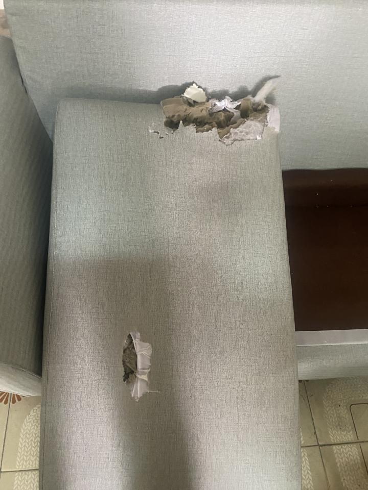 沙發修理案件圖片
