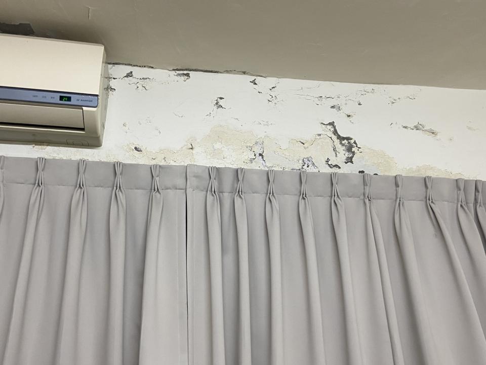 壁癌處理案件圖片