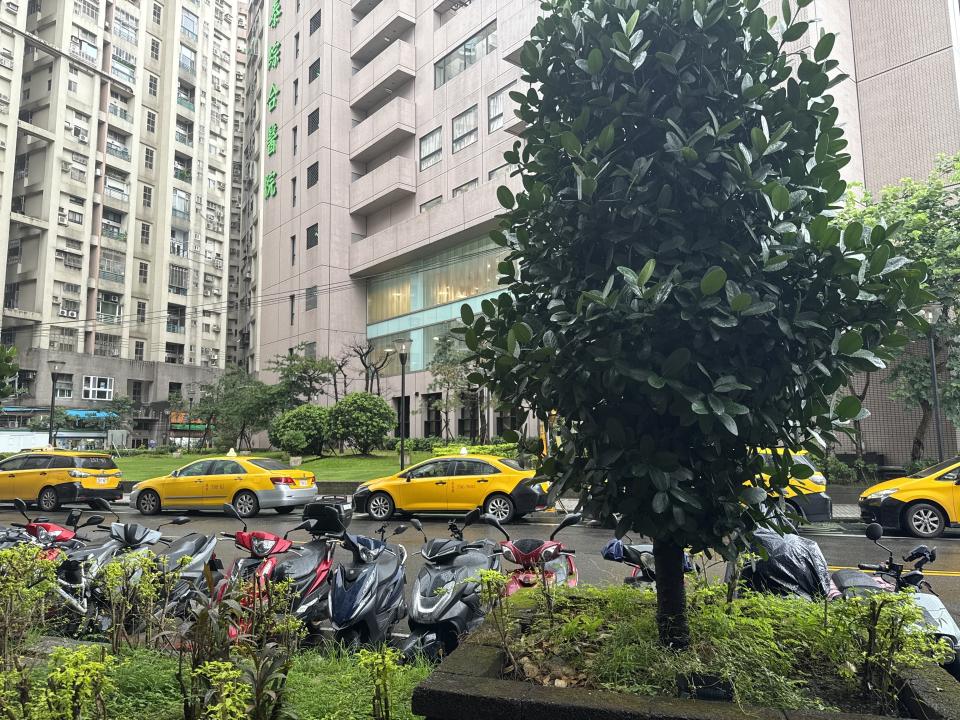 園藝維護案件圖片