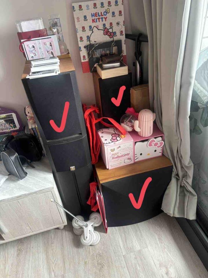 大型垃圾回收案件圖片